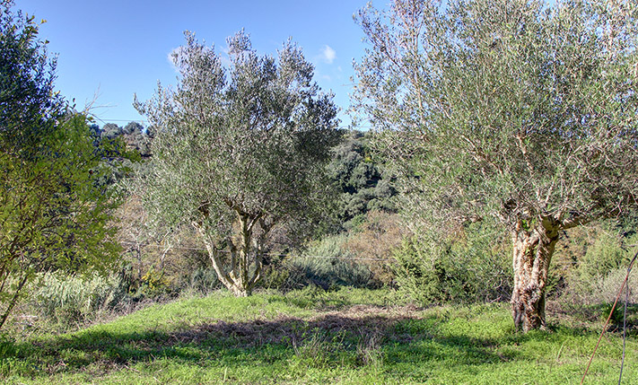 EASY ACCESS, NEAR THE INTERCHANGE OF PLATANIAS