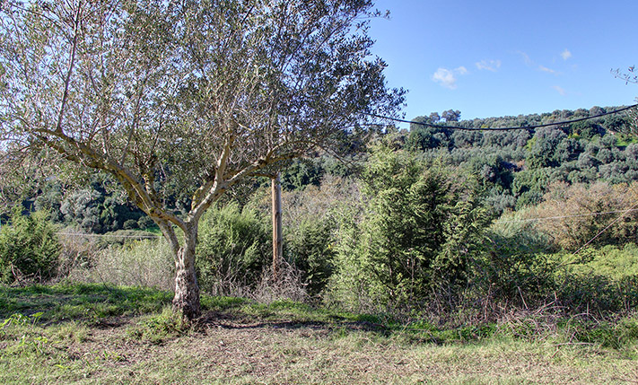 EASY ACCESS, NEAR THE INTERCHANGE OF PLATANIAS