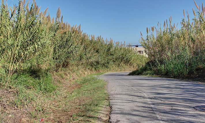 PERFECTLY SLOPED LAND NEAR THE BEACH