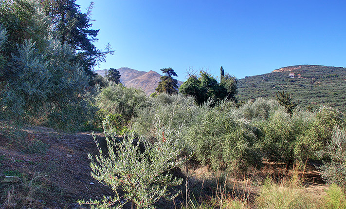 ΜΕΓΑΛΗ ΔΟΜΗΣΗ ΣΕ ΧΩΡΙΟ ΜΕΣΑ ΣΤΗ ΦΥΣΗ
