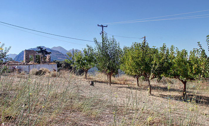 ΠΟΛΥΤΕΛΗΣ ΘΕΑ ΚΑΙ ΥΨΗΛΗ ΔΟΜΗΣΗ