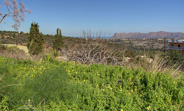 ΚΑΛΕΣ ΠΡΟΣΒΑΣΕΙΣ ΚΑΙ ΟΜΟΡΦΗ ΘΕΑ