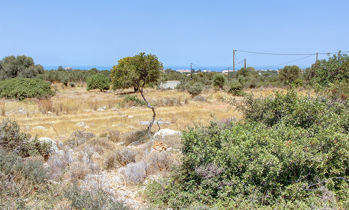 ΧΤΙΣΤΕ ΑΜΕΣΑ ΕΝΑ ΣΥΓΧΡΟΝΟ ΣΥΓΚΡΟΤΗΜΑ