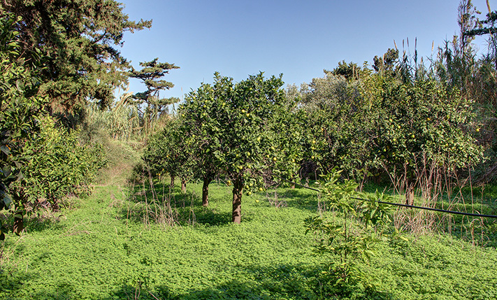 ΕΝΑ ΟΙΚΟΔΟΜΙΚΟ ΤΕΤΡΑΓΩΝΟ ΚΟΝΤΑ ΣΤΗ ΘΑΛΑΣΣΑ