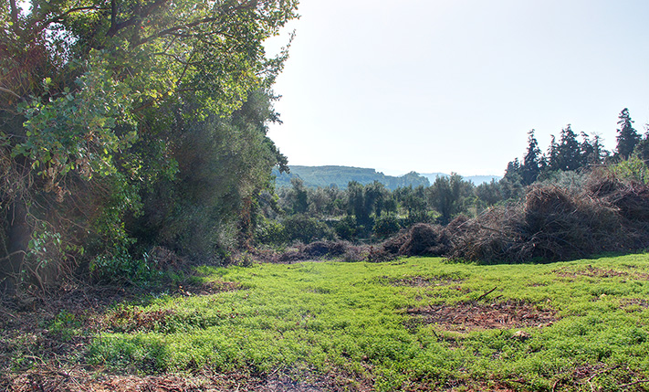 ΕΙΔΥΛΛΙΑΚΗ ΘΕΣΗ & ΚΑΛΕΣ ΠΡΟΣΒΑΣΕΙΣ