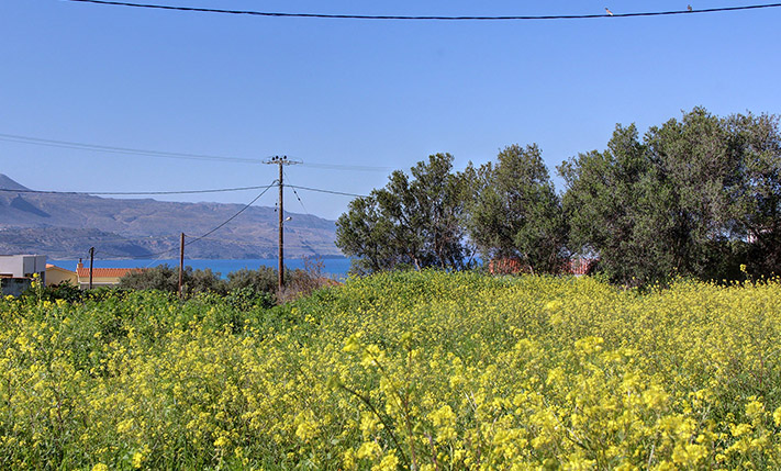 ΑΡΙΣΤΗ ΟΙΚΙΣΤΙΚΗ ΛΥΣΗ ΣΕ ΚΟΡΥΦΗ ΜΕ ΘΕΑ