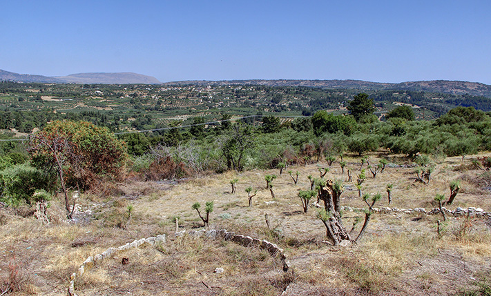 ΕΠΑΓΓΕΛΜΑΤΙΚΗ ΤΟΠΟΘΕΤΗΣΗ ΣΕ ΧΑΜΗΛΗ ΤΙΜΗ