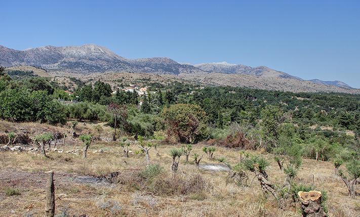 A PERFECTLY PRICED DEVELOPMENT PLOT