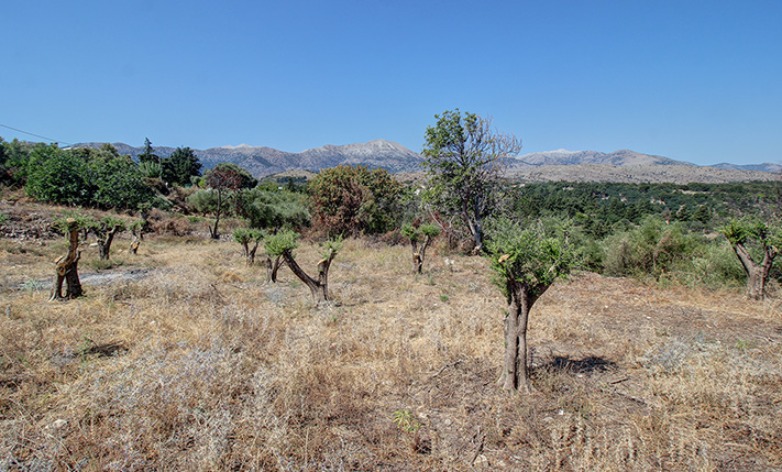 ΕΠΑΓΓΕΛΜΑΤΙΚΗ ΤΟΠΟΘΕΤΗΣΗ ΣΕ ΧΑΜΗΛΗ ΤΙΜΗ