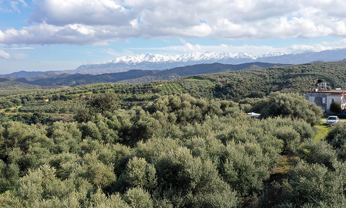 ΕΠΙΠΕΔΟ ΟΙΚΟΠΕΔΟ ΜΕ ΘΕΑ ΣΕ ΒΟΥΝΟ & ΘΑΛΑΣΣΑ