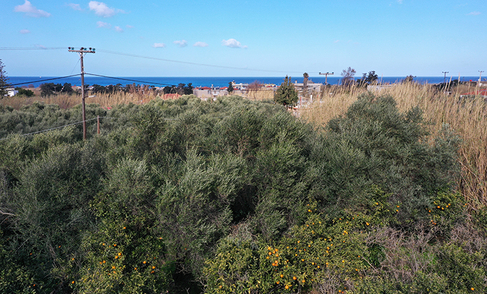 DEVELOPMENT LAND NEAR THE BEACH