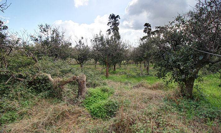 DEVELOPMENT LAND NEAR THE BEACH