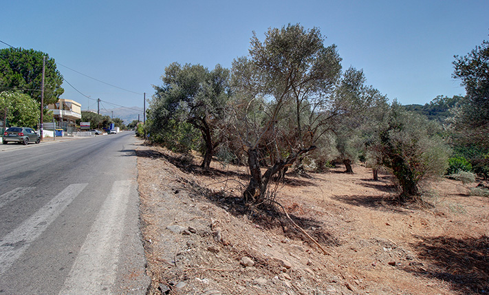 2 ΟΜΟΡΑ ΟΙΚΙΣΤΙΚΑ ΟΙΚΟΠΕΔΑ ΣΤΟΝ ΑΛΙΚΙΑΝΟ