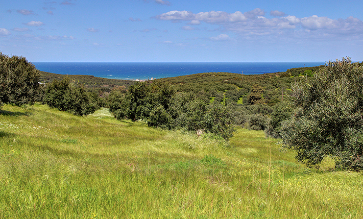 ΑΝΕΜΠΟΔΙΣΤΗ ΘΕΑ ΑΠΟ ΟΛΑ ΤΑ ΣΗΜΕΙΑ