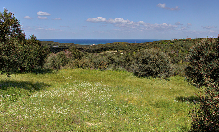 FREIER MEERBLICK VON JEDEM PUNKT