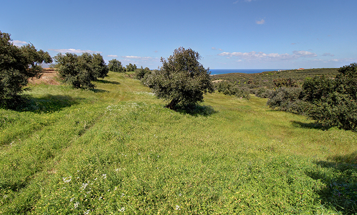 ΑΝΕΜΠΟΔΙΣΤΗ ΘΕΑ ΑΠΟ ΟΛΑ ΤΑ ΣΗΜΕΙΑ