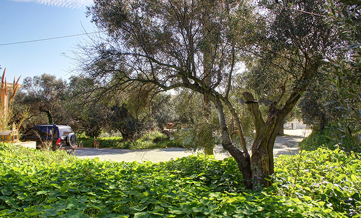 DEVELOPMENT LAND WITH SEA VIEWS