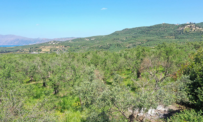 NEAR KISSAMOS WITH NICE VIEWS