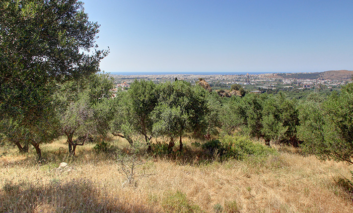 ΑΓΡΟΤΕΜΑΧΙΟ ΜΕ ΘΕΑ ΚΟΝΤΑ ΣΤΗΝ ΠΟΛΗ
