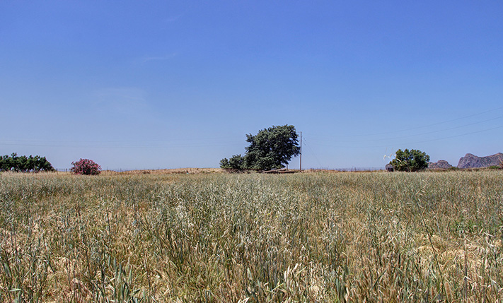 SEAFRONT LAND IN FALASARNA