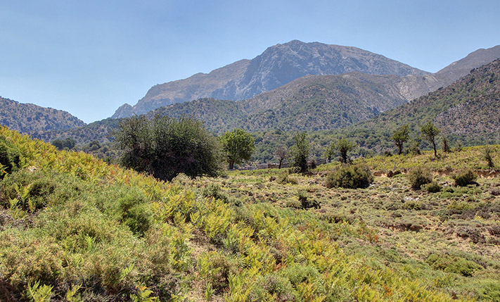 ΣΕ ΟΡΕΙΝΗ ΠΕΡΙΟΧΗ ΣΤΟ ΟΡΟΠΕΔΙΟ ΤΟΥ ΟΜΑΛΟΥ
