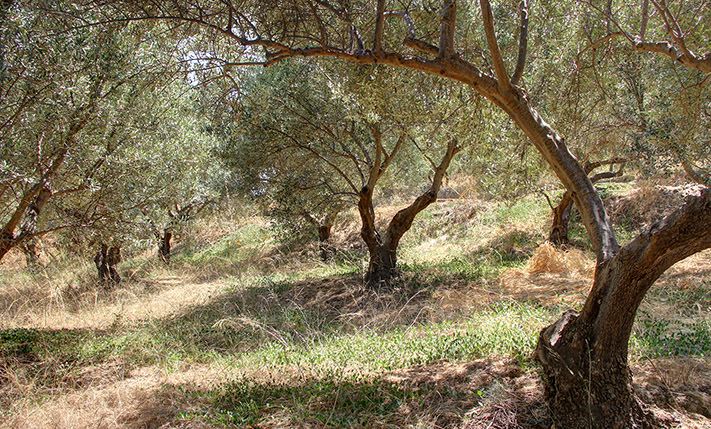 ΙΔΑΝΙΚΟ ΓΙΑ ΑΝΕΞΑΡΤΗΤΕΣ ΜΟΝΟΚΑΤΟΙΚΙΕΣ Η ΒΙΛΑ
