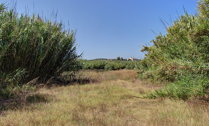 BEACHFRONT LAND IN A TOURIST AREA