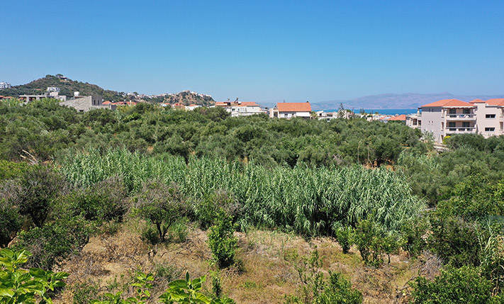 IN A LIVELY AREA BUT IN A TRANQUIL PRIVATE SETTING