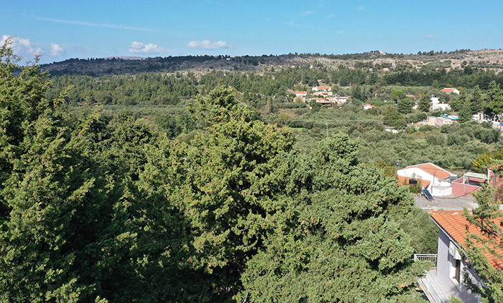 ΧΤΙΣΤΕ ΑΜΕΣΑ 3 ΑΥΤΟΤΕΛΕΙΣ ΟΙΚΙΕΣ