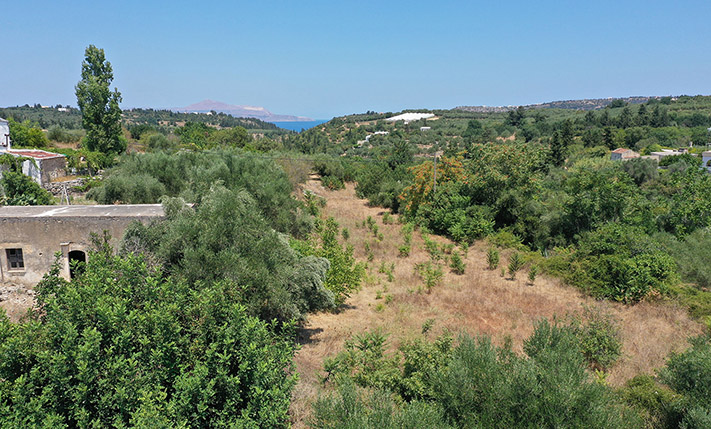 ΟΙΚΟΠΕΔΟ ΜΕ ΘΕΑ ΣΕ ΓΡΑΦΙΚΟ ΟΙΚΙΣΜΟ