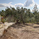 PLS0940 - image 12