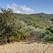 PLS0944 - image 2 PLS0944 - image 2