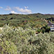 PLS0944 - image 4 PLS0944 - image 4