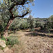 PLS0944 - image 6 PLS0944 - image 6