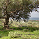 PLS0986 - image 6 PLS0986 - image 6