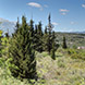 PLS0996 - image 2 PLS0996 - image 2