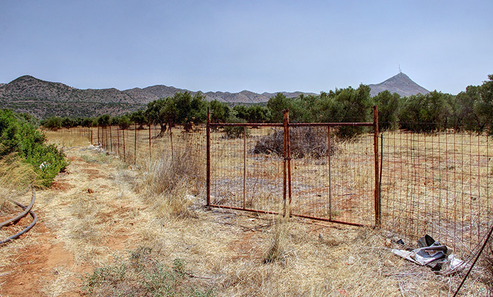 ΟΙΚΟΔΟΜΗΣΙΜΗ ΕΚΤΑΣΗ ΜΕ 200 ΕΛΑΙΟΔΕΝΤΡΑ