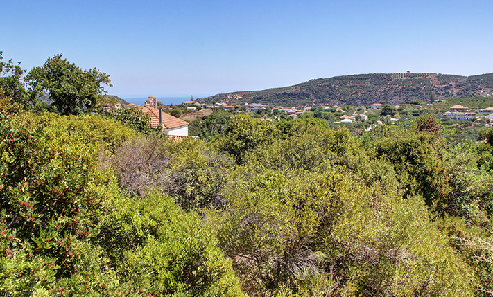 ΟΙΚΟΝΟΜΙΚΟ ΟΙΚΟΠΕΔΟ ΕΞΩ ΑΠΟ ΤΟ ΚΟΛΥΜΠΑΡΙ