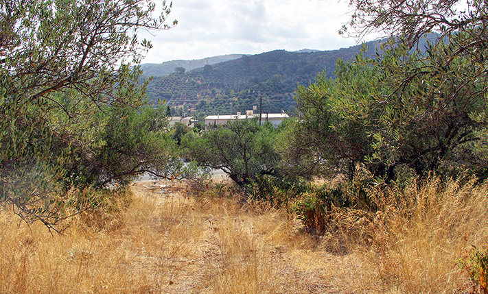 ΥΨΗΛΗ ΔΟΜΗΣΗ ΣΤΟ ΚΕΝΤΡΟ ΤΩΝ ΒΟΥΚΟΛΙΩΝ
