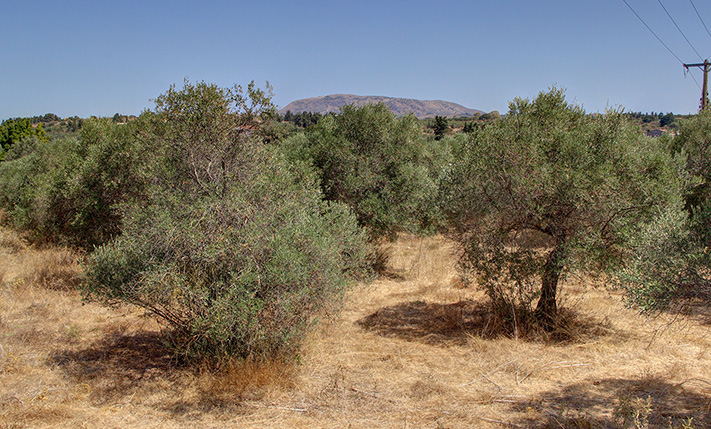 SPACIOUS LAND IN THE VILLAGE CENTRE OF VAMOS