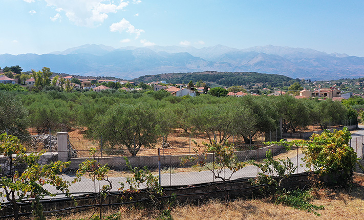 ΜΕ ΚΑΛΟ ΣΧΗΜΑ & ΜΕΓΑΛΗ ΠΡΟΣΟΨΗ