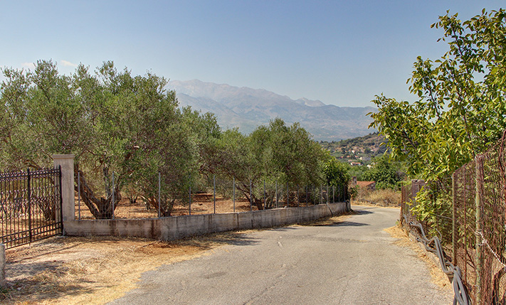 SOUTH FACING LAND WITH A LONG FRONTAGE
