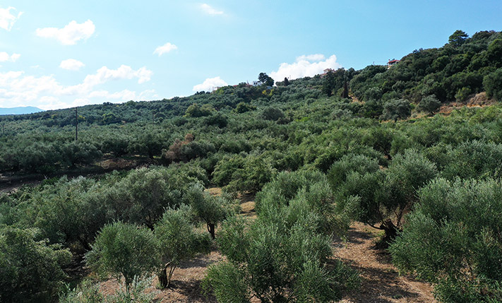ELEVATED PLOT WITH SEA VIEWS