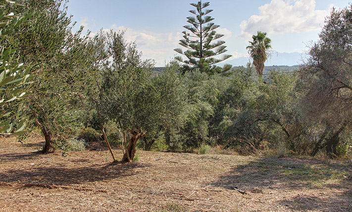 ELEVATED PLOT WITH SEA VIEWS