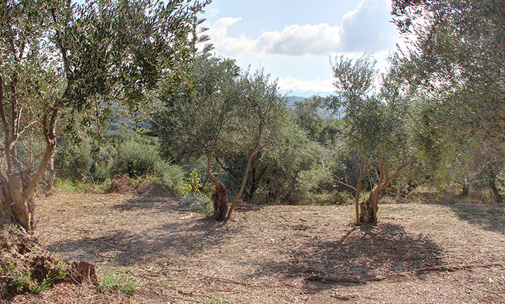 ΥΠΕΡΥΨΩΜΕΝΟ ΜΕ ΘΕΑ ΘΑΛΑΣΣΑ
