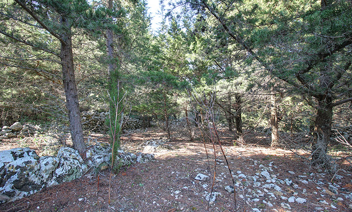 ΕΝΑ ΟΙΚΟΔΟΜΗΣΙΜΟ ΑΛΣΟΣ ΜΕ ΑΜΕΤΡΗΤΑ ΚΥΠΑΡΙΣΣΙΑ