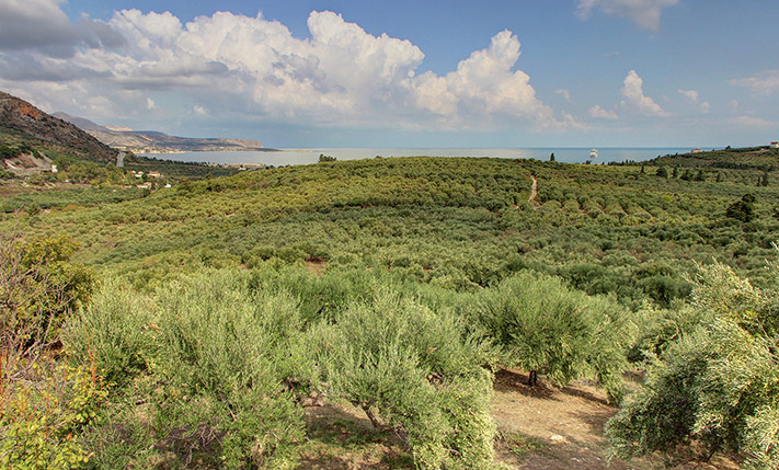 ΧΤΙΣΤΕ ΜΙΑ ΠΟΛΥΤΕΛΗ ΚΑΤΟΙΚΙΑ ΜΕ ΜΟΝΑΔΙΚΗ ΘΕΑ
