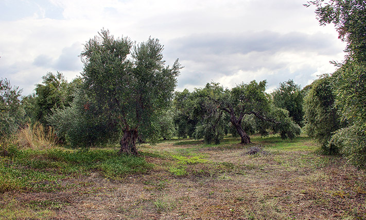 ΧΤΙΣΤΕ ΜΙΑ ΠΟΛΥΤΕΛΗ ΚΑΤΟΙΚΙΑ ΜΕ ΜΟΝΑΔΙΚΗ ΘΕΑ