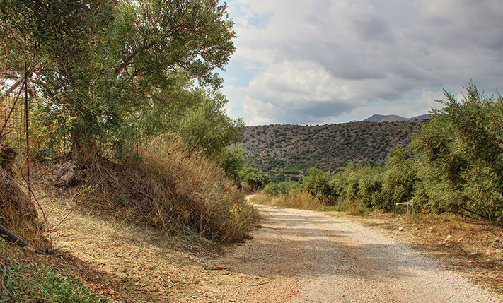 BUILD A LUXURIOUS HOUSE WITH STUNNING VIEWS