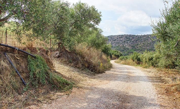 BUILD A LUXURIOUS HOUSE WITH STUNNING VIEWS